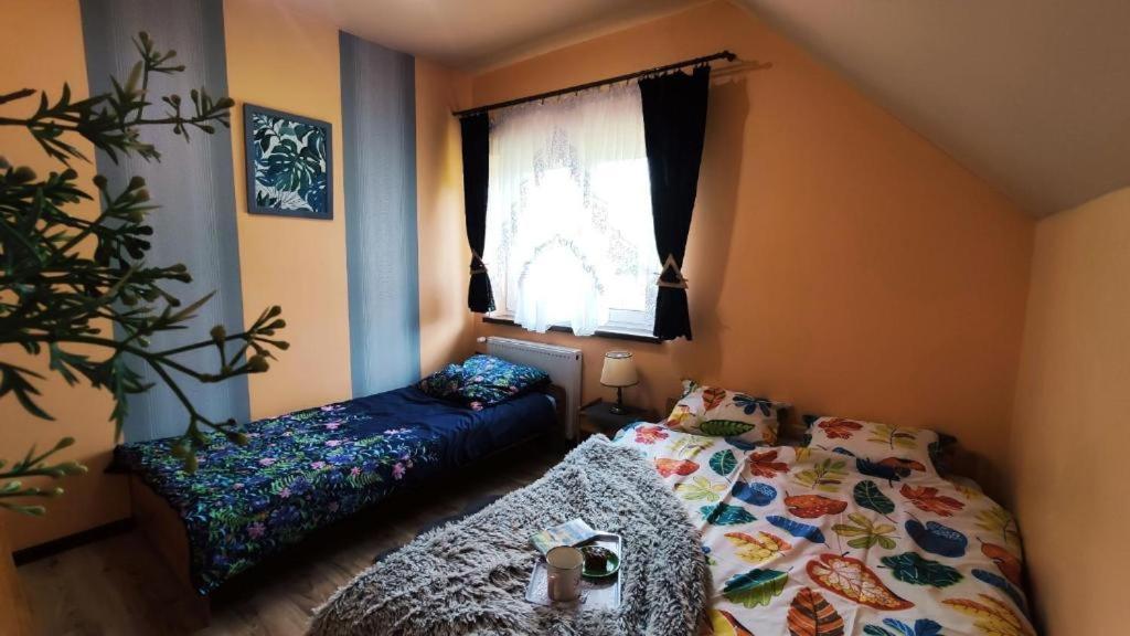 Apartamenty Pilsko 코르비에로프 외부 사진